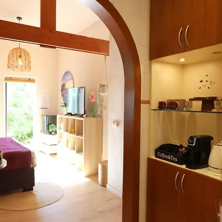 Veluwe Aurora I Bij De Veluwezoom Apartment *