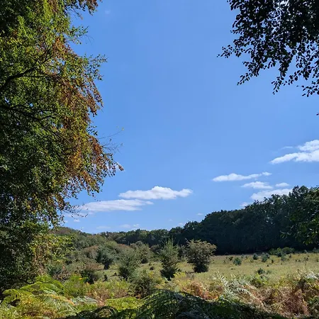 Veluwe Aurora I Bij De Veluwezoom Apartment
