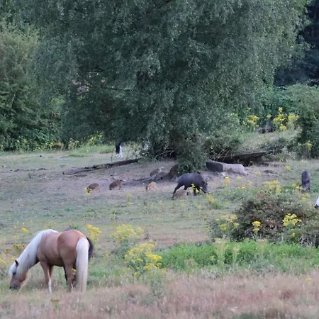 Apartment Veluwe Aurora I Bij De Veluwezoom