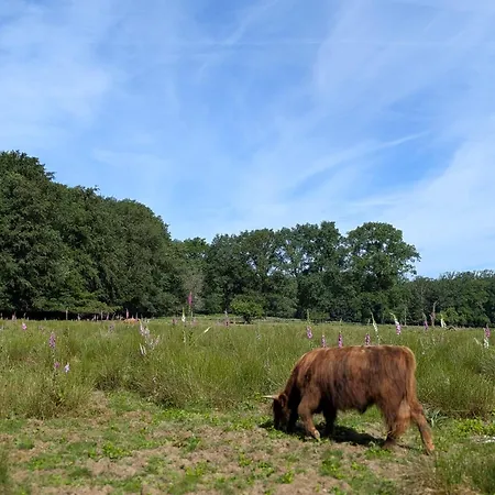 Apartment Veluwe Aurora I Bij De Veluwezoom Rheden