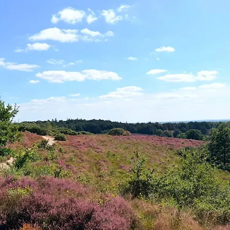 Veluwe Aurora I Bij De Veluwezoom Rheden