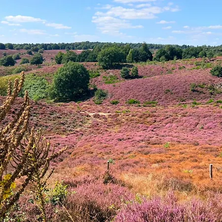 Veluwe Aurora I Bij De Veluwezoom *